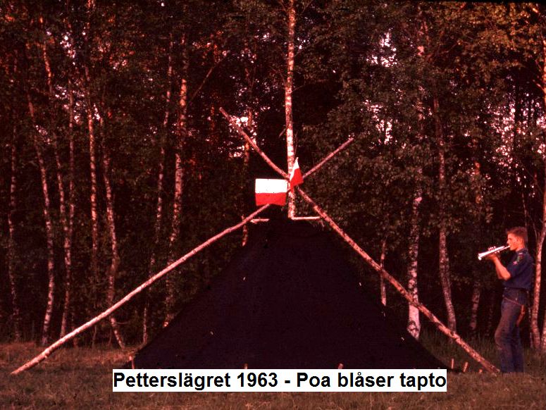 020c Petterslager 63 Poa tapto