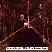 020c Petterslager 63 Poa tapto