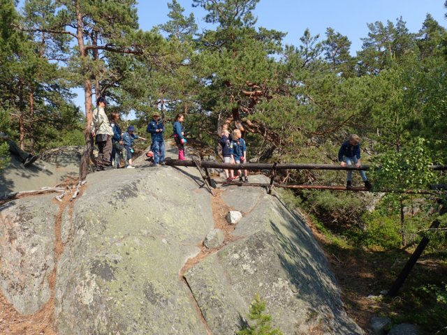 p6190501.jpg
